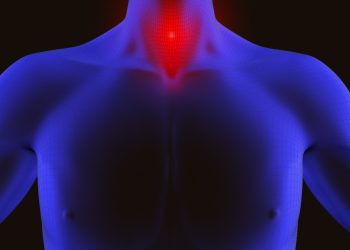 щитовидная железа