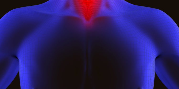 щитовидная железа