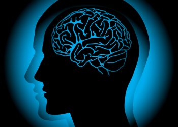 Причины отрыва вен мозга – сложное заболевание – Орен Зариф