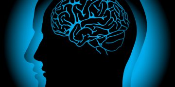 Причины отрыва вен мозга – сложное заболевание – Орен Зариф