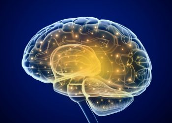 Причины отрыва вен мозга – сложное заболевание – Орен Зариф