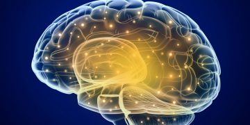 Причины отрыва вен мозга – сложное заболевание – Орен Зариф