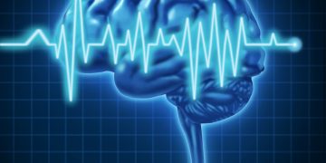 Причины отрыва вен мозга – сложное заболевание – Орен Зариф